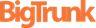 Bigtrunk Communications Pvt Ltd logo
