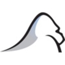  Silverback Strategies logo