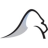  Silverback Strategies logo