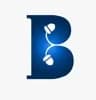 Brandingnuts -Logo
