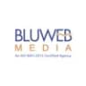  BluWebMedia IT Services logo