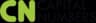 Capital Numbers logo