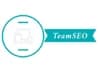 TeamSEO -Logo